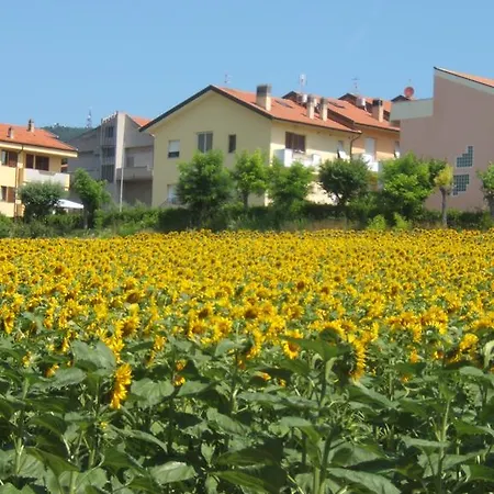 Lägenhet Grazioso Panoramico